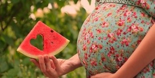 A piece of watermelon in the hand of a pregnant woman